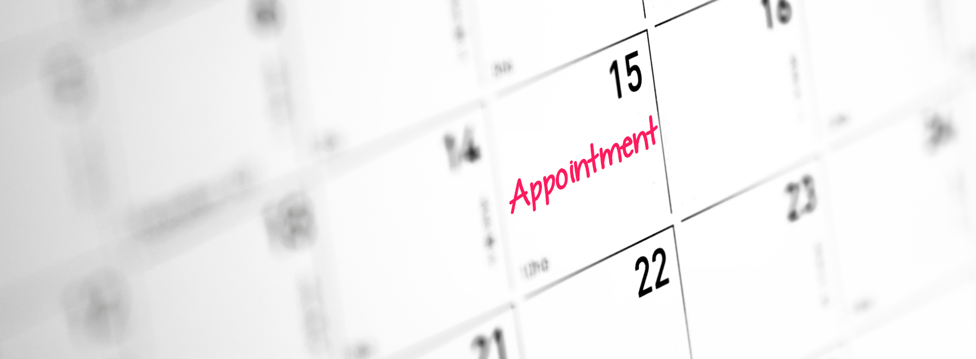Book an Appointment
